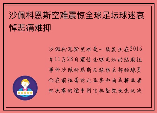 沙佩科恩斯空难震惊全球足坛球迷哀悼悲痛难抑 沙佩科恩斯空难震惊全球足坛球迷哀悼悲痛难抑